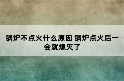 锅炉不点火什么原因 锅炉点火后一会就熄灭了